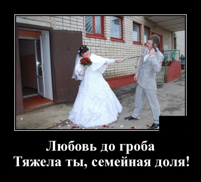 Демотиваторы