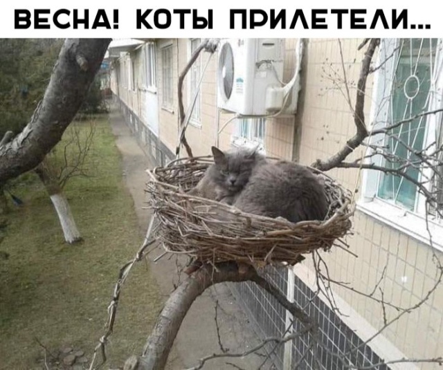 Прикольные картинки