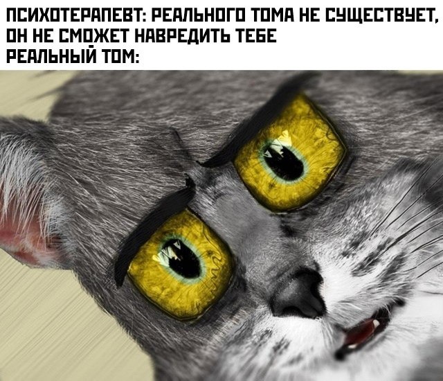 Прикольные картинки