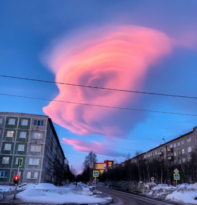 Прикольные картинки