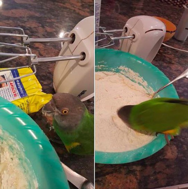Прикольные картинки