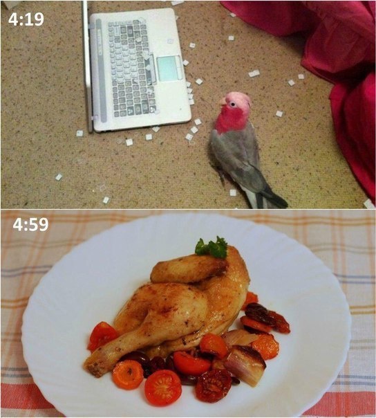 Прикольные картинки