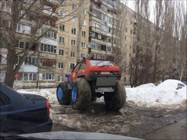 Прикольные картинки