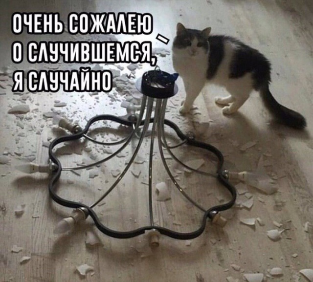 Прикольные картинки