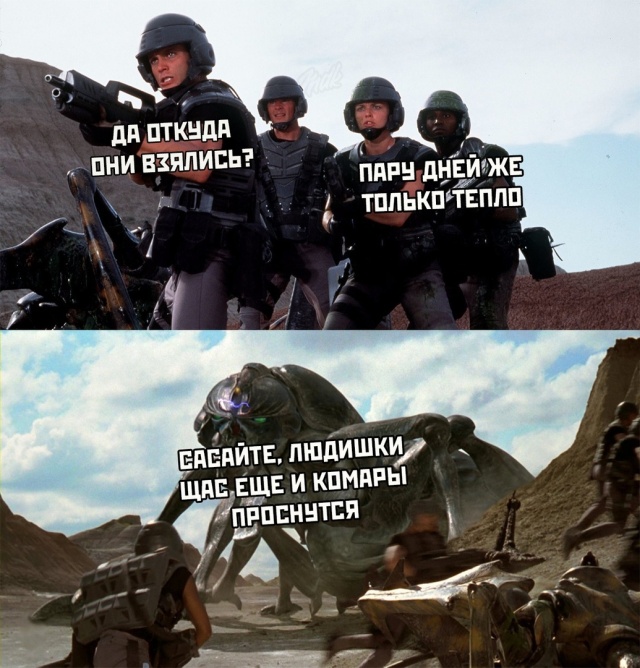 Прикольные картинки