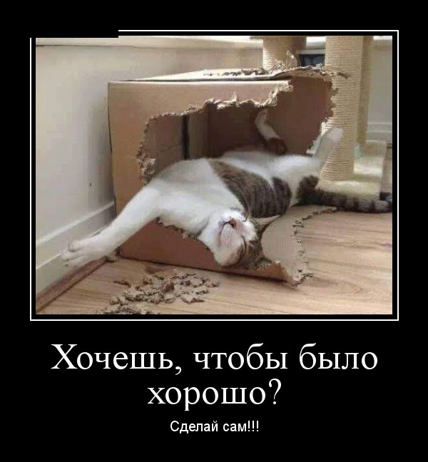 Демотиваторы