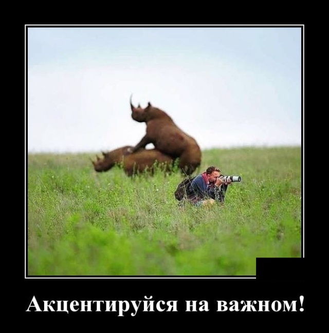 Демотиваторы