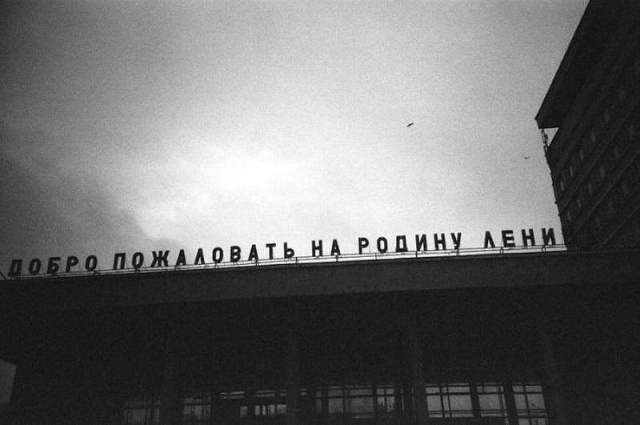 Прикольные картинки