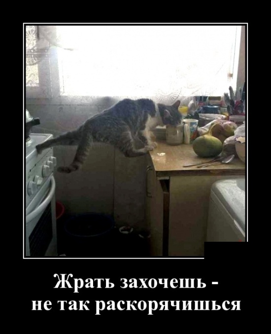 Демотиваторы