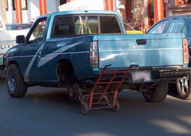 Прикольные картинки