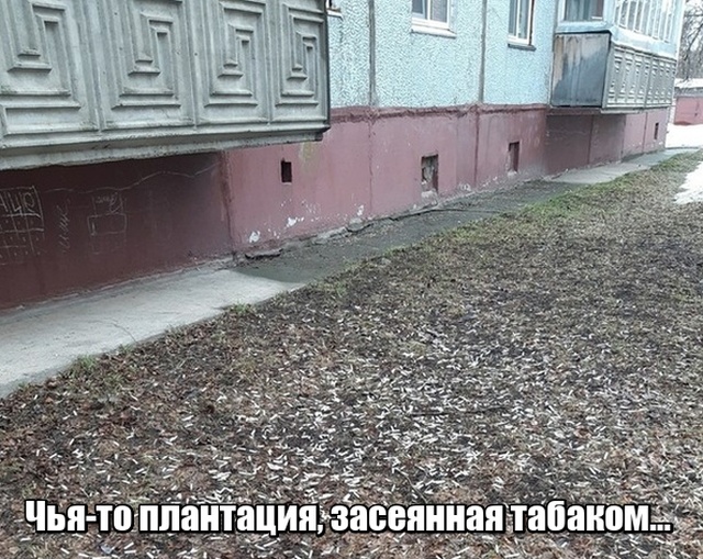 Прикольные картинки
