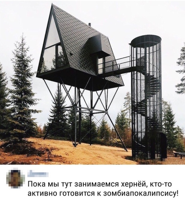 Прикольные картинки