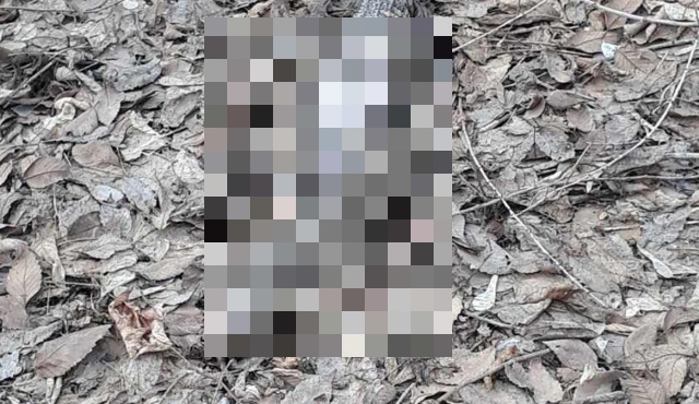 Неожиданная находка в лесу Оренбургской области