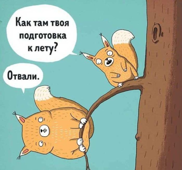 Прикольные картинки