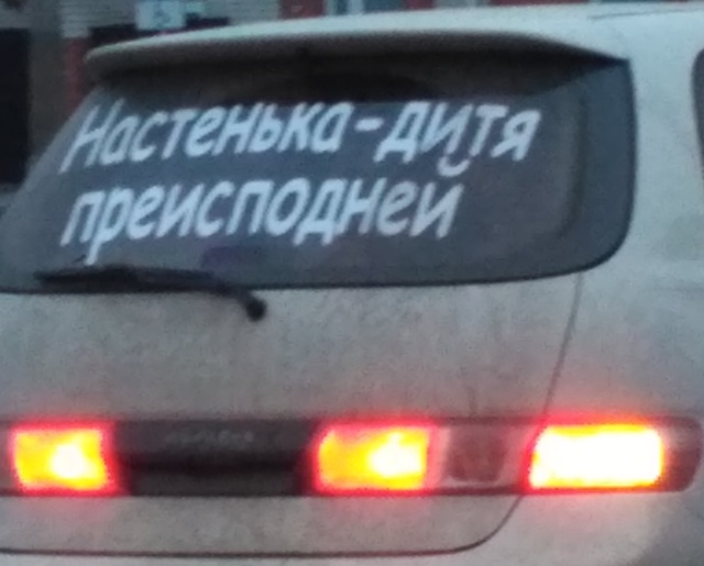 Прикольные картинки