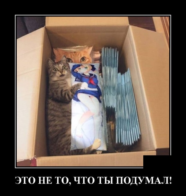 Демотиваторы