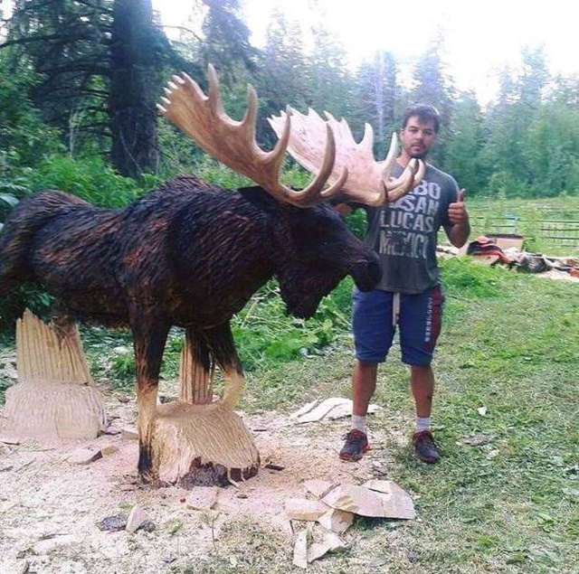 Прикольные картинки