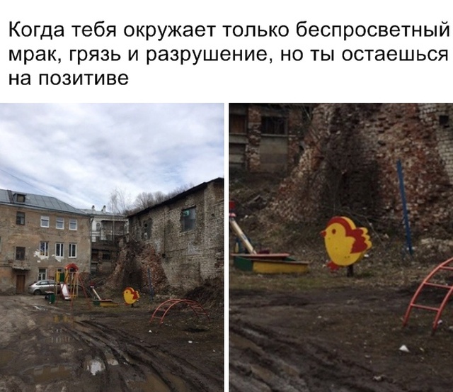 Прикольные картинки