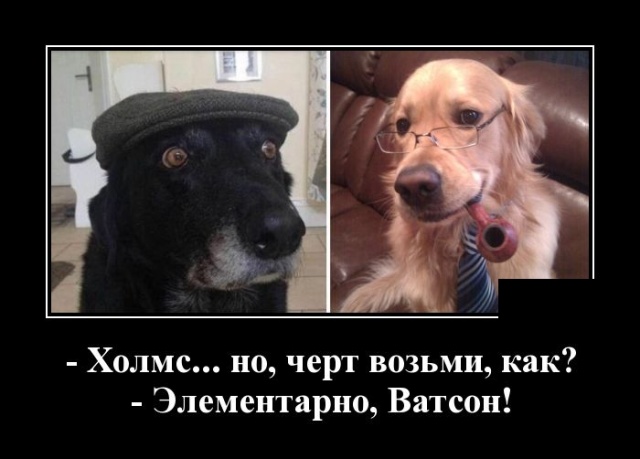 Демотиваторы