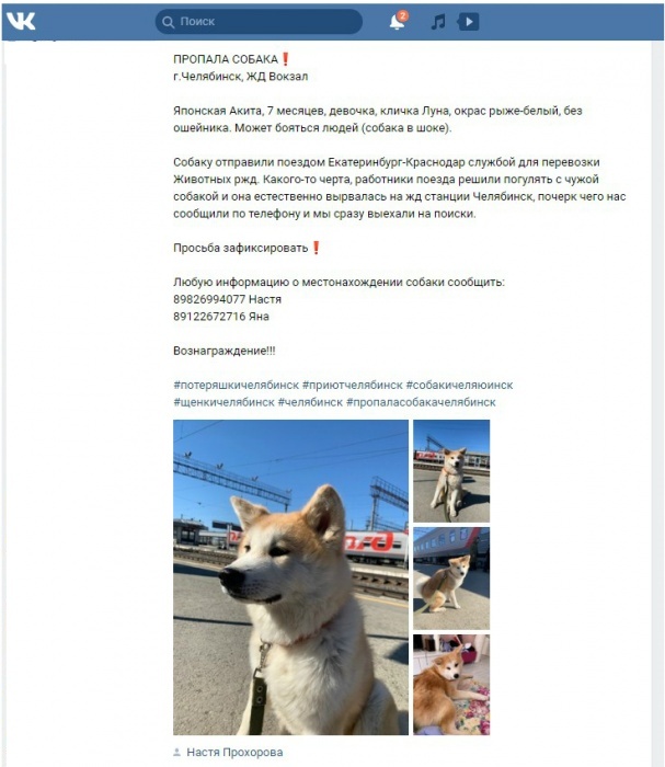 Проводники потеряли собаку Анастасии Бугаенко при использовании новой услуги РЖД