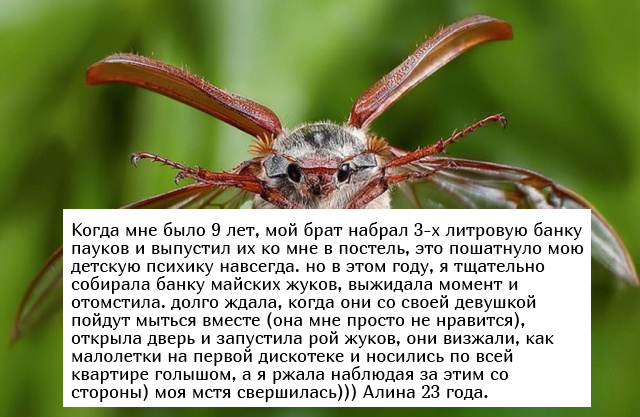 Жизненные истории людей