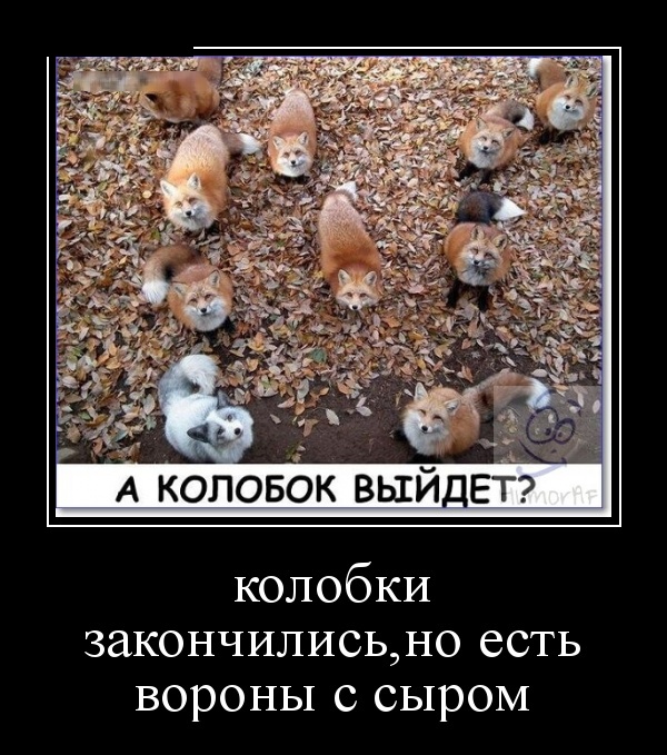 Демотиваторы