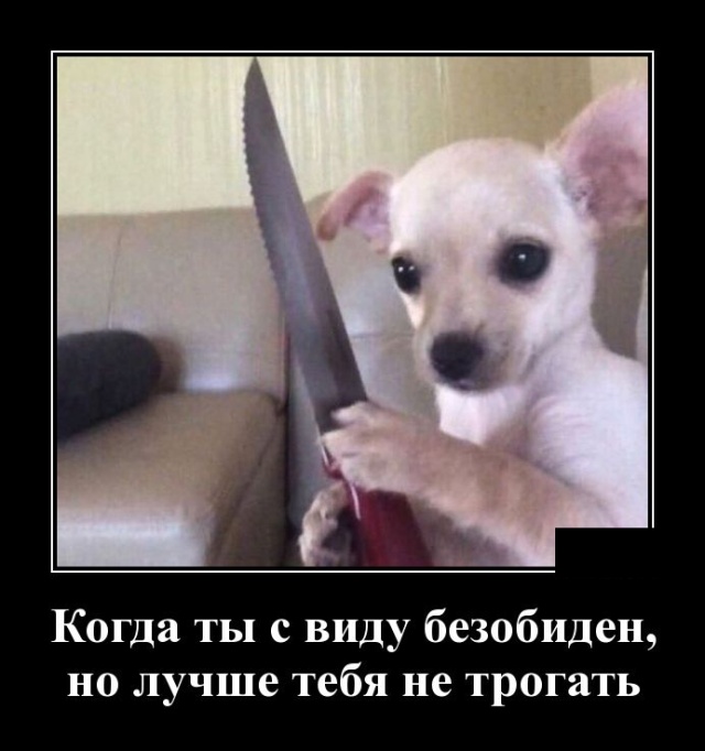 Демотиваторы