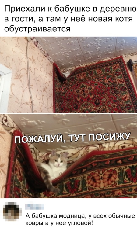 Прикольные картинки