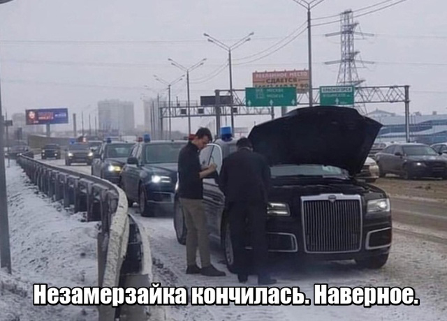 Прикольные картинки