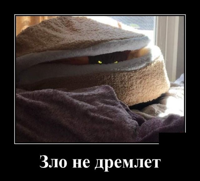 Демотиваторы