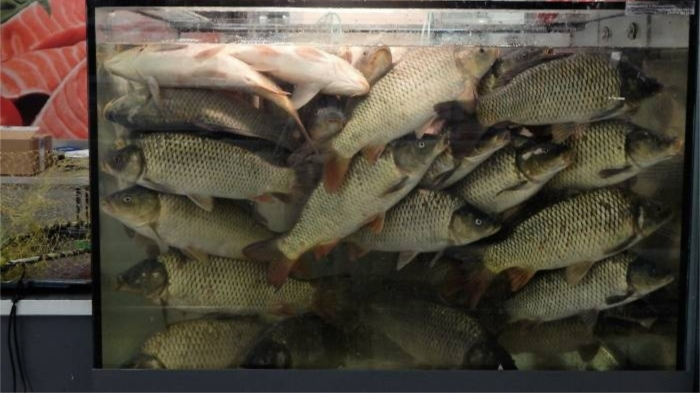 Уловки магазинов, которые используются для сбыта некачественных продуктов Уловки магазинов, которые используются для сбыта некачественных продуктов