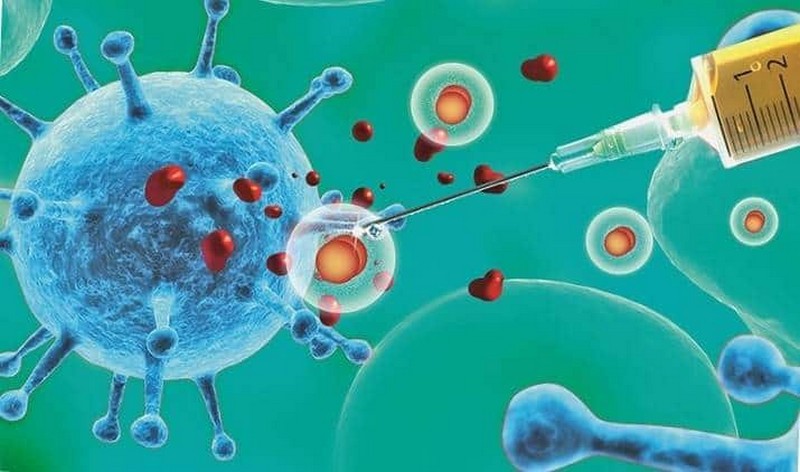 Десять самых значимых научных открытий XXI века Десять самых значимых научных открытий XXI века