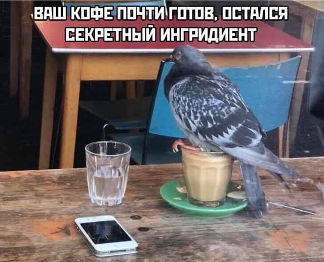 Прикольные картинки