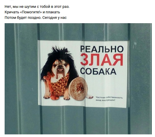 Рифмы обо всем на свете