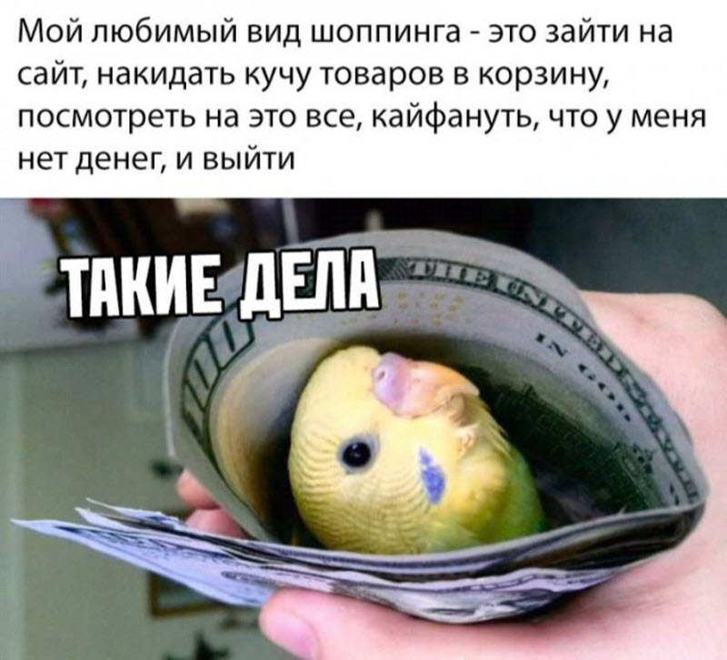 Прикольные картинки