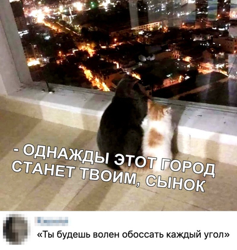 Прикольные картинки