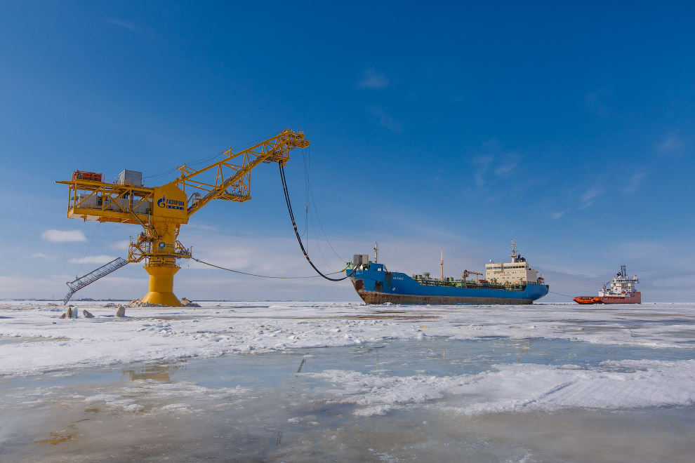 Любопытные факты о нефти Любопытные факты о нефти