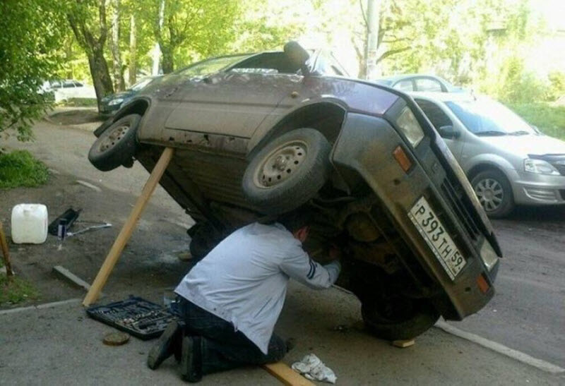 Прикольные картинки