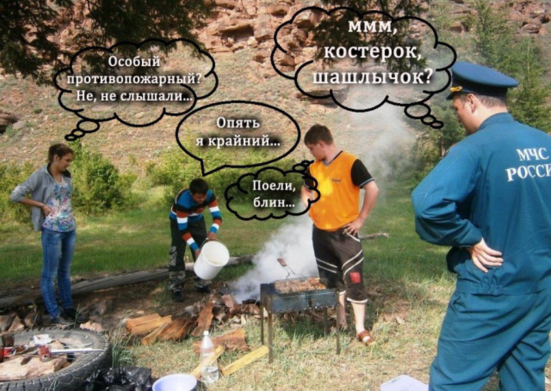 Прикольные картинки