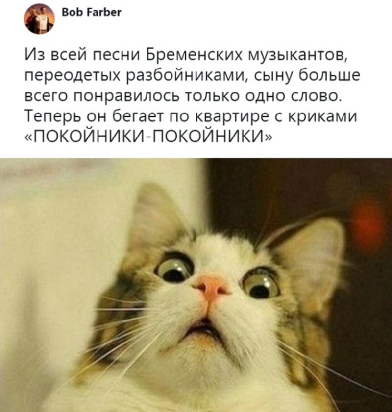 Прикольные картинки