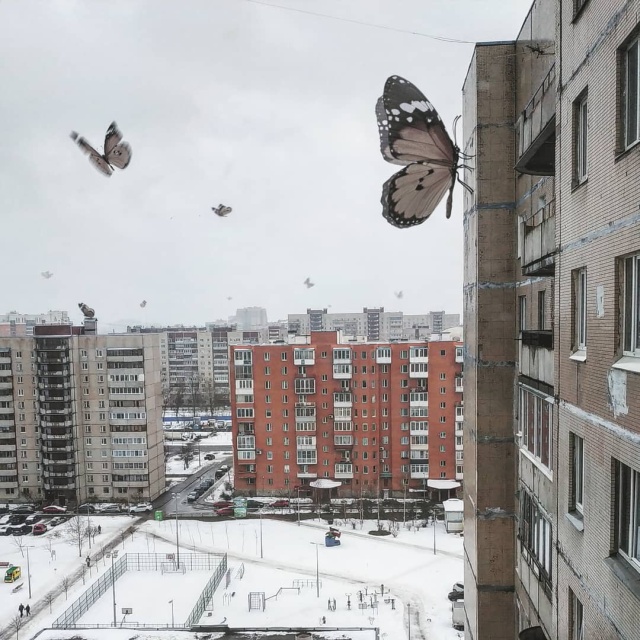 Необычные пейзажи Санкт-Петербурга от художника Вадима Соловьева