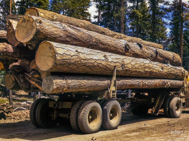 Винтажная Америка на архивных снимках