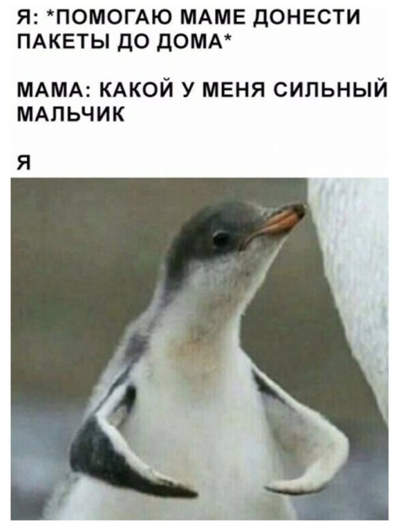 Прикольные картинки