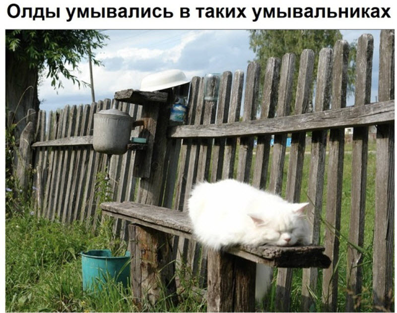 Прикольные картинки