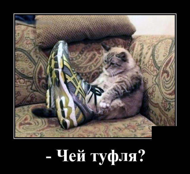 Демотиваторы