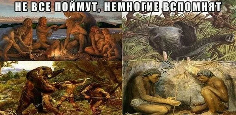 Прикольные картинки