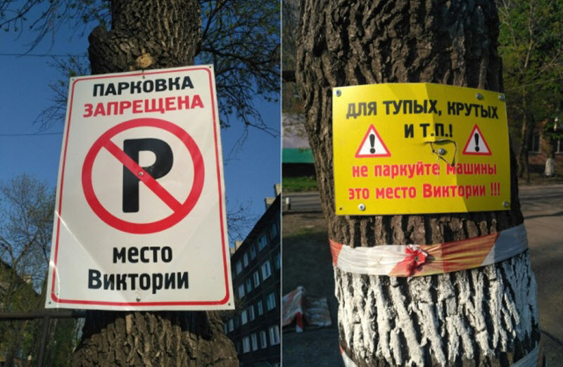 Прикольные картинки