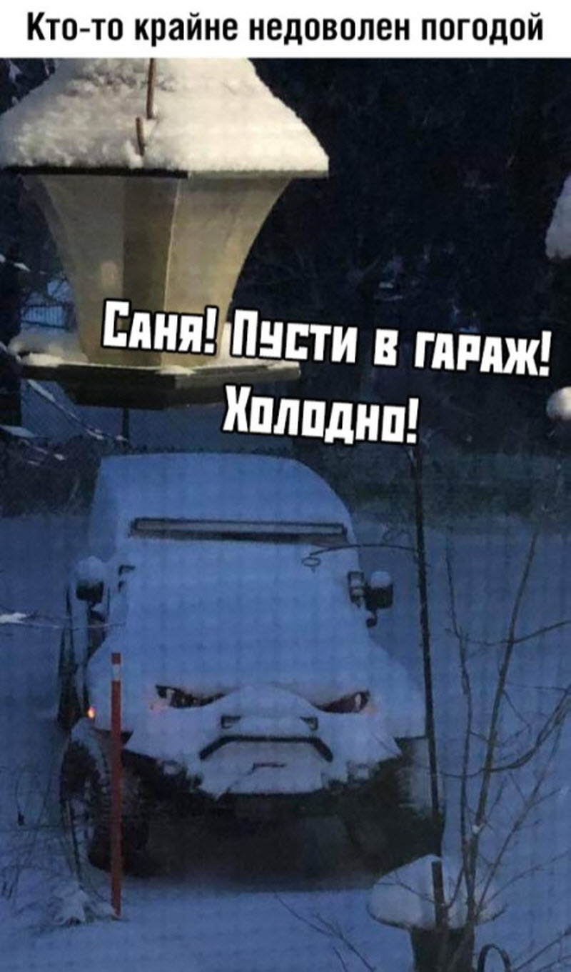 Прикольные картинки