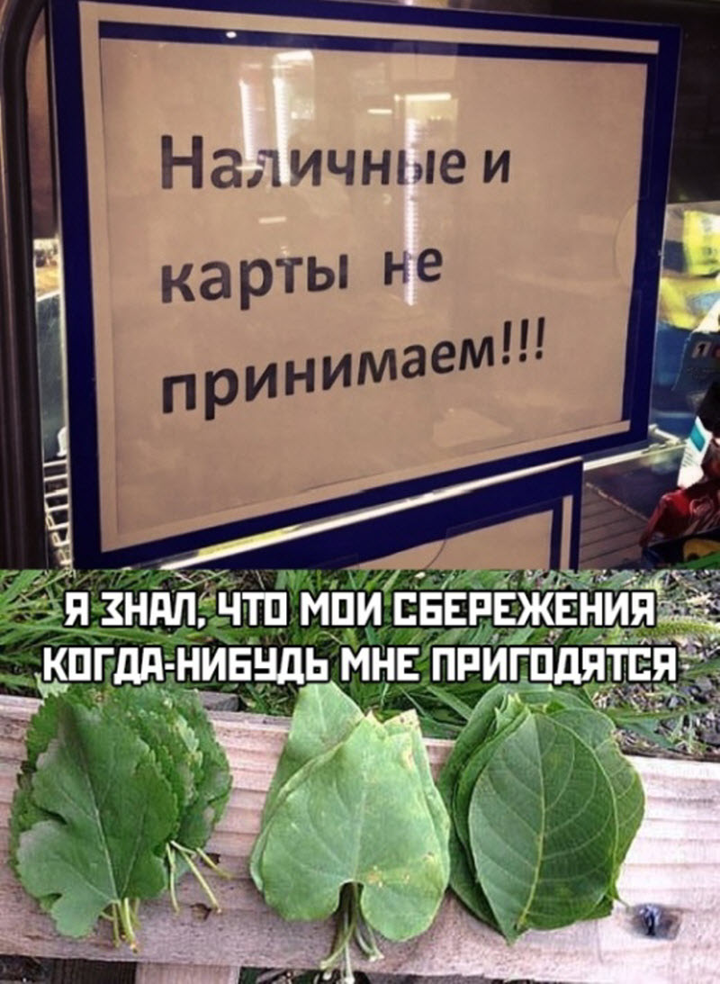 Прикольные картинки