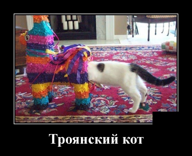 Демотиваторы